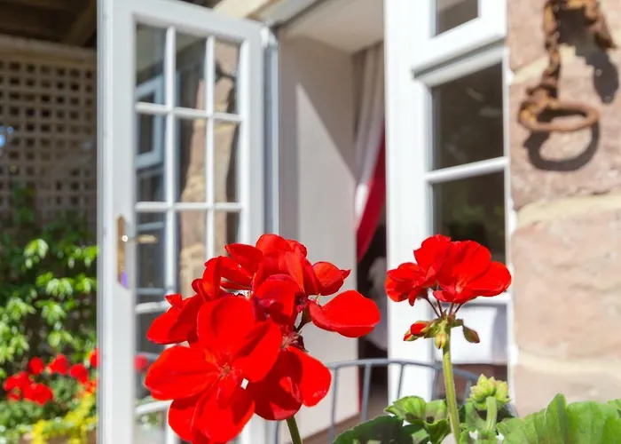 Birdsong Cottage Bed And Breakfast